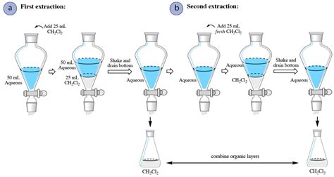 Process of Extraction 的图像结果