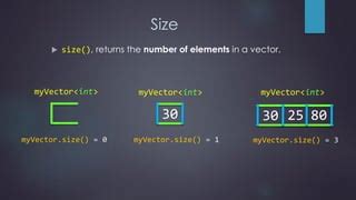 Computer Programing Vector 的图像结果