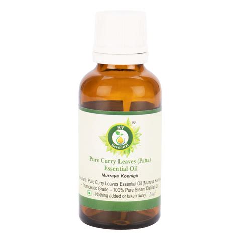 Buy R V Essential Murraya Koenigii Pure Curry Leaves (Patta) Essential ...