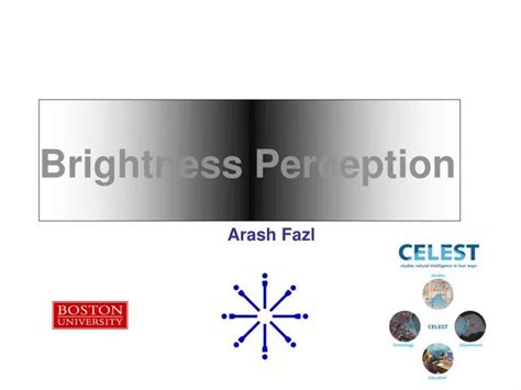 Image result for Visual Perception of Brightness