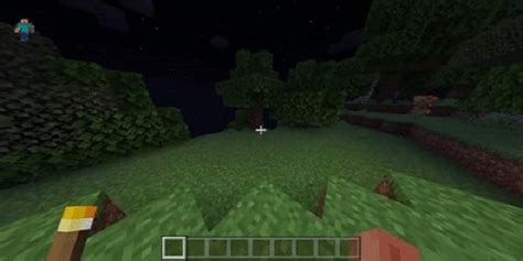 Image result for Offhand Torchlight Minecraft