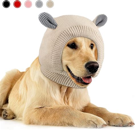 Are Dog Ears Supposed To Be Warm