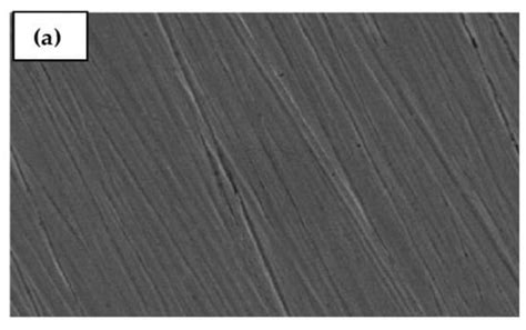 Corrosion Inhibition of Expired Cefazolin Drug on Copper Metal in ...