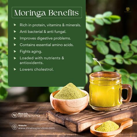 The Amazing Benefits of Moringa: Nature’s Superfood – Innate Splendore