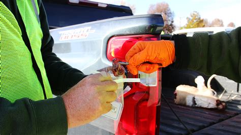 CWD Sampling 的图像结果