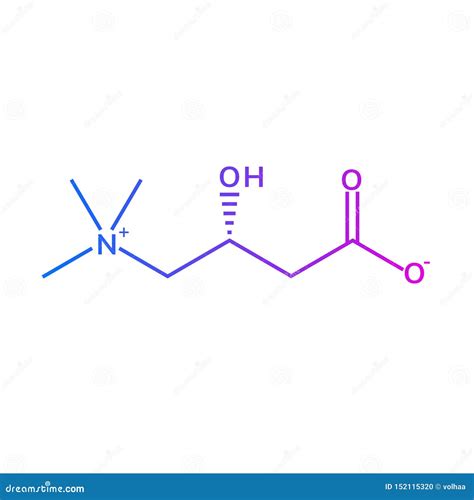L-carnitine Chemical Formula Stock Vector - Illustration of molecular, structure: 152115320