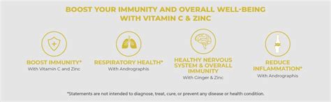 Swisse Immune Action (30 Tablets) With Vitamin C, Zinc & Ginger Extract ...