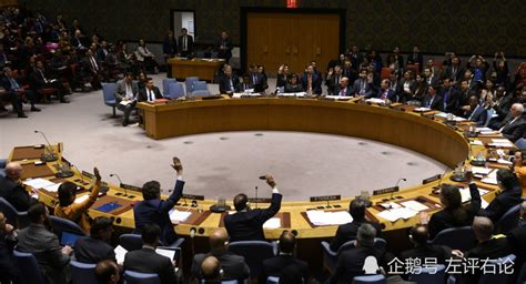 否决权屡遭挑衅！俄罗斯同意增加非洲安理会席位，反对限制否决权_腾讯新闻