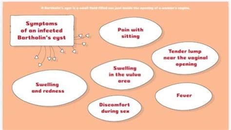 Cyst at Home Burst 的图像结果