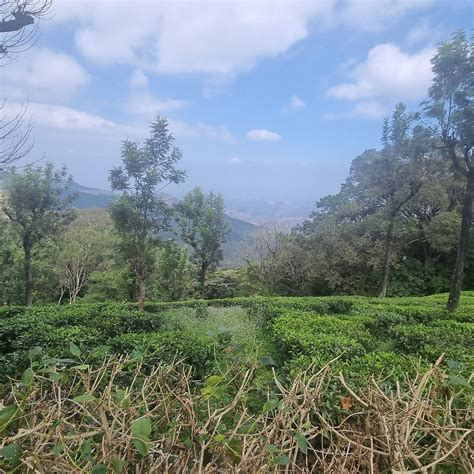 VALLEY VIEW BUNGALOW BY LEXSTAYS (Valparai, Tamil Nadu) - Hotel Reviews ...