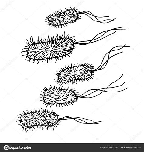 Image result for Bacteria Simple Drawing