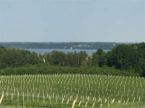 View at Hawthorne Vineyards in TC MI | Beautiful places, Views, Places