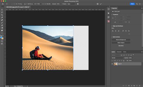 Content-Aware Scale Logos 的图像结果