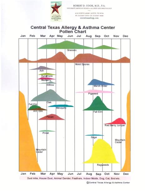 Allergy Index Austin at Asha Vang blog