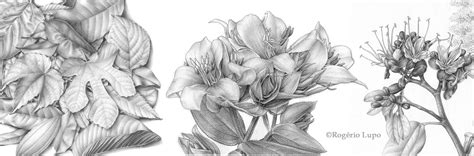 Image result for Reductive Graphite Shading
