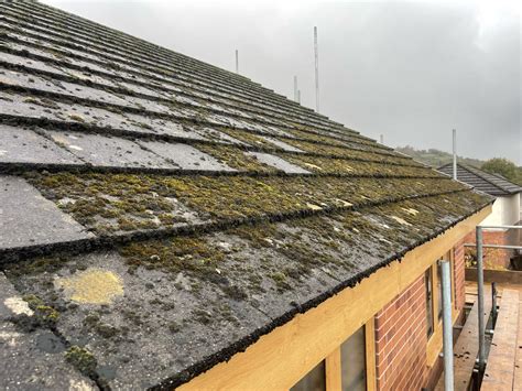 Effective Roof Moss Treatment: Permanently Kill Moss