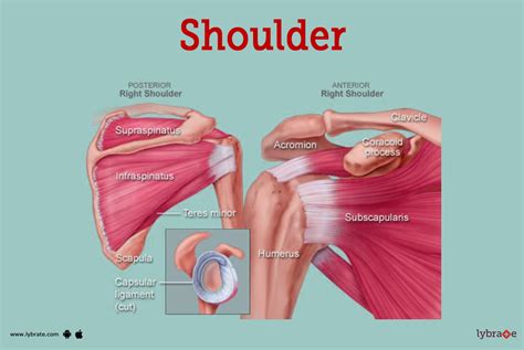 Image result for Shoulder Exercise On Cable Machine