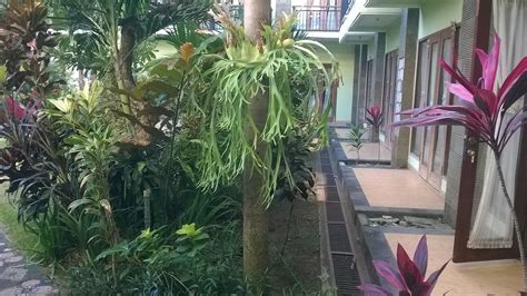 HOTEL DAMAI (Bali/Denpasar) - Hotel Reviews, Photos, Rate Comparison ...