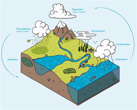 Les cycles de l'eau | ge.ch
