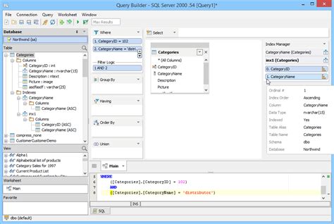 Image result for Visual Basic Query Builder