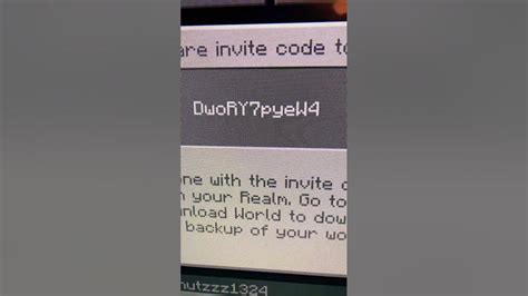 How to Enter Realm Code Minecraft Java 的图像结果