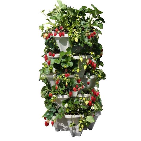 Mr. Stacky - Vertical 5-Tier Strawberry / Herb / Flower Planter | The ...