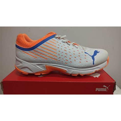 Puma Spike 22.1 Unisex Cricket Shoes (White) – Sportswing.in