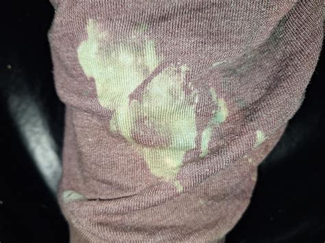 Bleached In Spanish Translation at Eugene Head blog