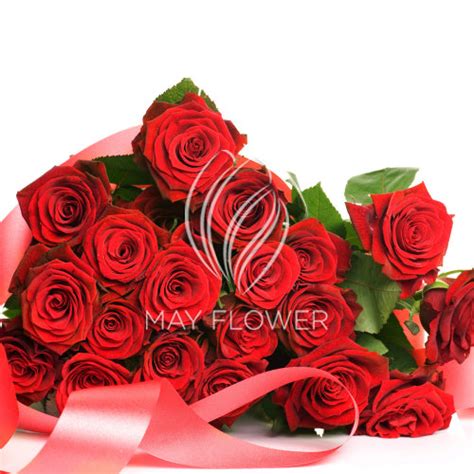 20 Red Rose Bunch – May Flower