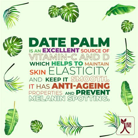 Buy NINGEN SKIN NOURISING DAY CREAM INFUSED WITH DATE PALM COFFEEBERRY ...