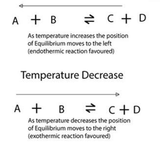 Image result for Dynamic Systems Examples Equilibrium