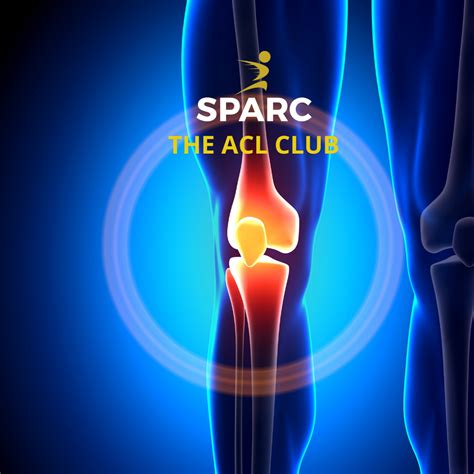 ACL Injuries — SPARC