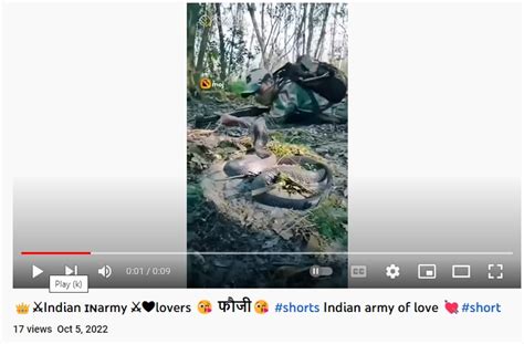 Viral Video Of ‘Indian Soldier’ Catching Snake Is Actually Of ...