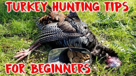Turkey Hunting Tips 的图像结果