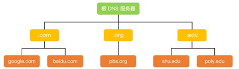 多张图带你彻底搞懂DNS域名解析过程-菜鸟笔记