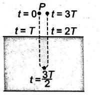 A ball of density ρ0 falls from rest from a point P onto the surface of ...