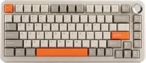 Amazon.in: Buy URX x AJAZZ AK820 MAX Plus Premium Mechanical Gaming ...