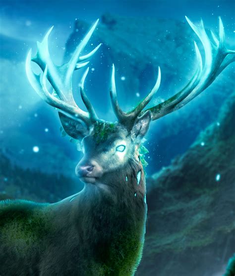 Nature Creatures 的图像结果