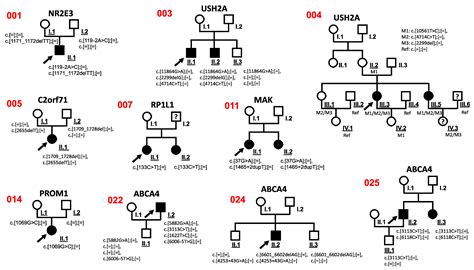 High-Throughput Sequencing to Identify Mutations Associated with ...