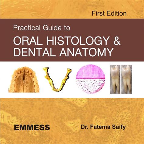 Practical Guide To Oral Histology & Dental Anatomy: Buy Practical Guide ...