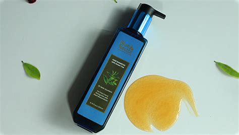 Anti-Frizz Shampoo for dry and frizzy hair with Plant based Biotin ...