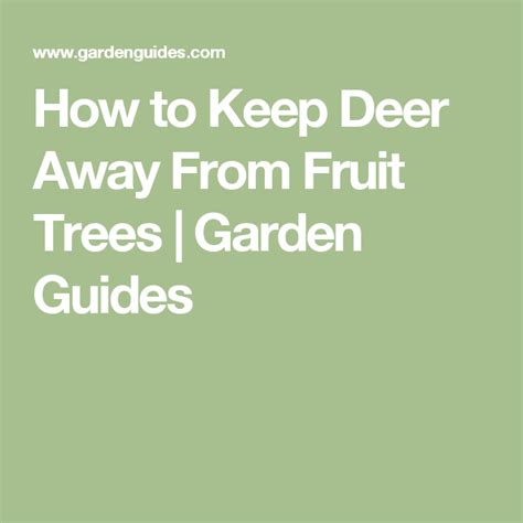 How to Keep Deer Away From Fruit Trees | Garden Guides | Garden guide ...