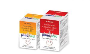 Home - Corise Healthcare Pvt Ltd