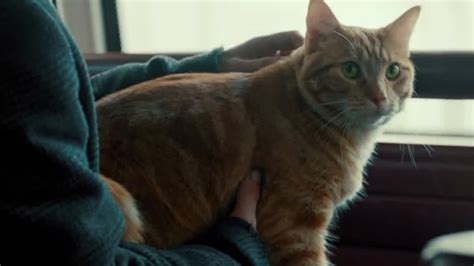《流浪猫鲍勃2鲍勃的礼物》-高清电影-完整版在线观看