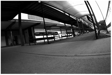 An Autonomous Path Controller in a System on Chip for Shrimp Robot