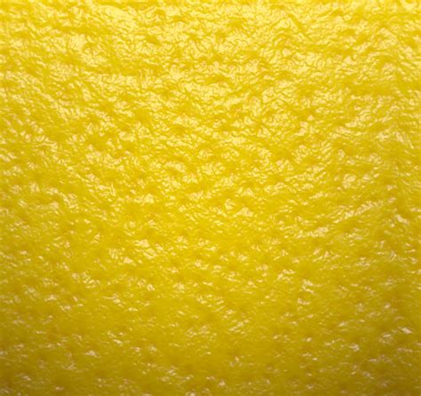 Image result for Lemon Rind Texture