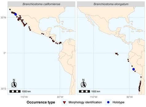 Diversity | Special Issue : Patterns Of Marine Benthic Biodiversity