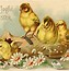 Image result for Easter Eggs and Baby Chicks