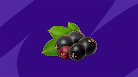 Elderberry benefits, side effects, and interactions