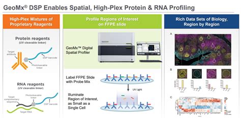 NanoString Spatial Transcriptomics 的图像结果